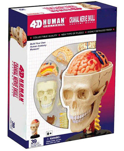 4D Anatomy Educational Puzzle