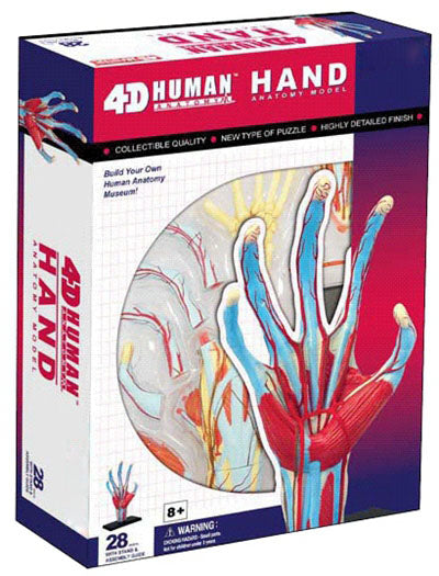 4D Anatomy Educational Puzzle