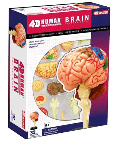 4D Anatomy Educational Puzzle