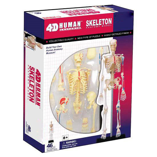 4D Anatomy Educational Puzzle