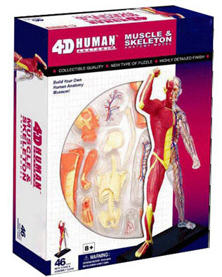 4D Anatomy Educational Puzzle