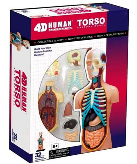 4D Anatomy Educational Puzzle